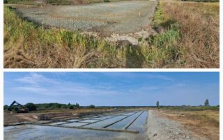 Chantier_MS_avant_après